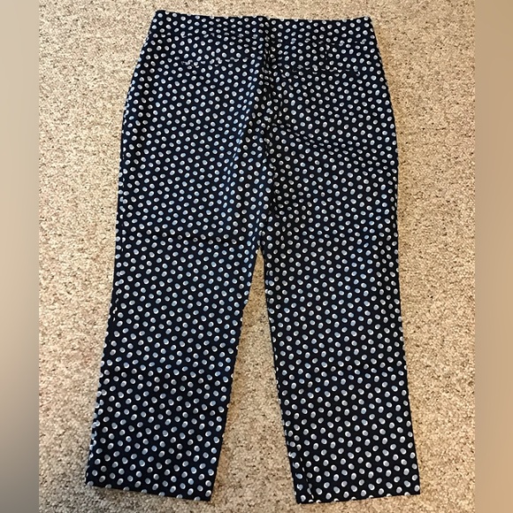 Ann Taylor Skinny Ankle/Crop Pants - Picture 7 of 7